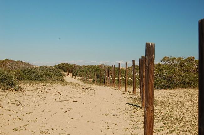 Apartamento Pinada Beach- La Mata La Mata  Eksteriør bilde
